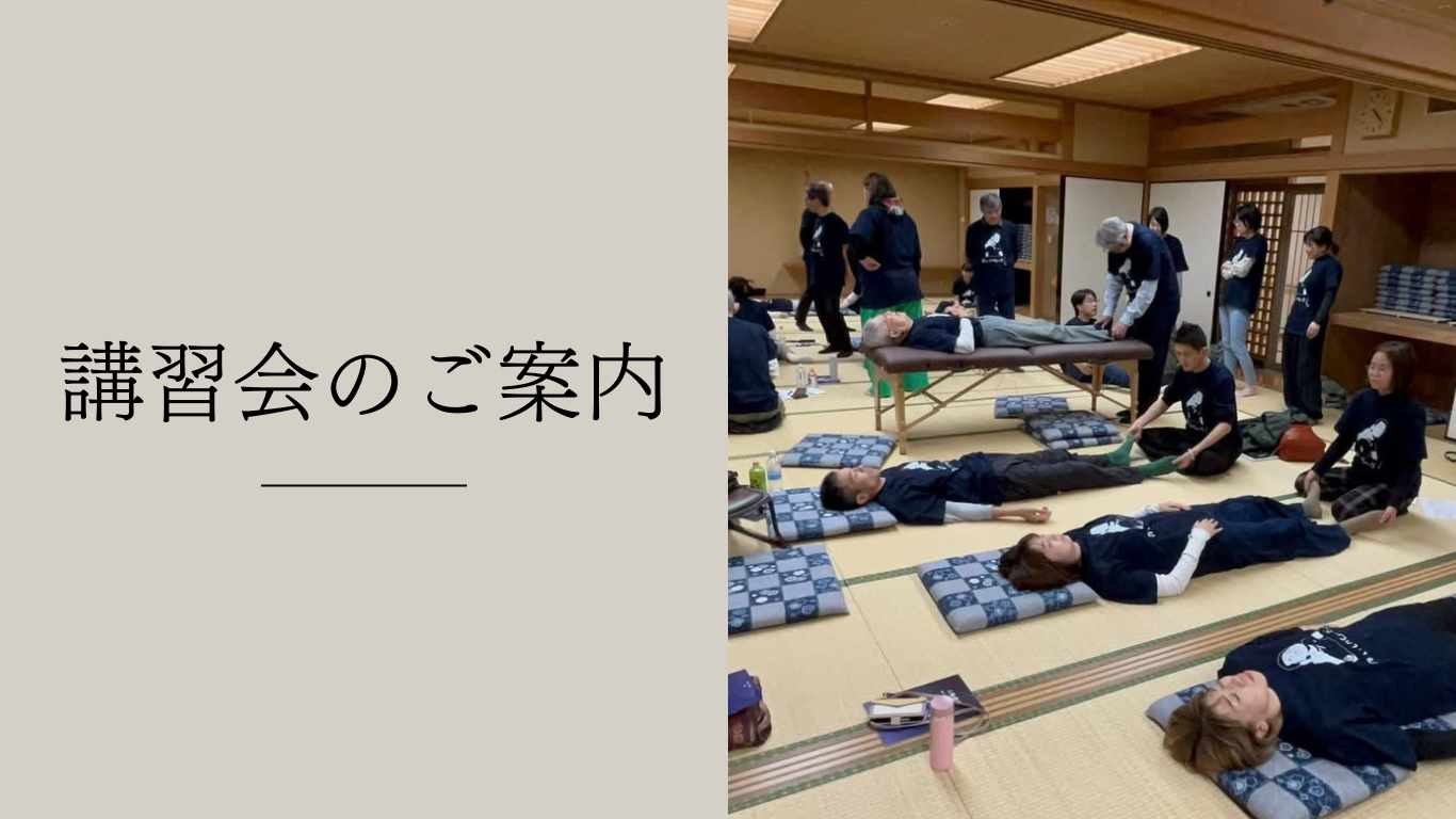 講習会のご案内